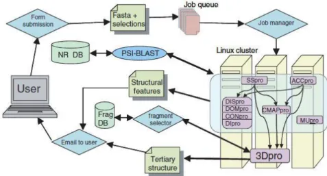 Fig. 1. Flow diagram for the SCRATCH server. DISpro, DOMpro, CONpro and DIpro  are grouped together because they have the same inputs and their outputs are not used 