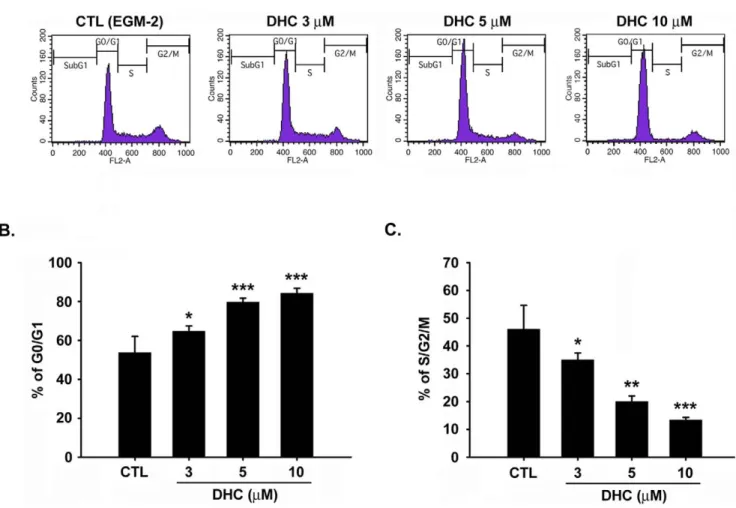 Figure 3. Effect of DHC on cell cycle. A, HUVECs were starved for 24 h, and then were treated with or without DHC (3–10 mM) for 18 hr