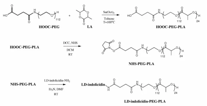 Figure 1.  Synthesis of LD-indolicidin-PEG-PLA conjugate. HOOC-PEG-PLA copolymer was first obtained by ring-opening polymerization of lactide monomer in solution at 100°C using  α-hydroxy-ω-carboxyl PEG at 5000 g/mol as a macroinitiator and Sn(Oct) 2   as 