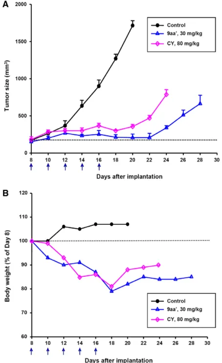 Figure 4. Therapeutic effect of 9aa 0 (30 mg/kg, Q2D  6, iv injection n = 4) and cyclophosphamide (80 mg/kg, Q2D  6, iv injection n = 4) in nude mice bearing human glioma U87 MG xenograft
