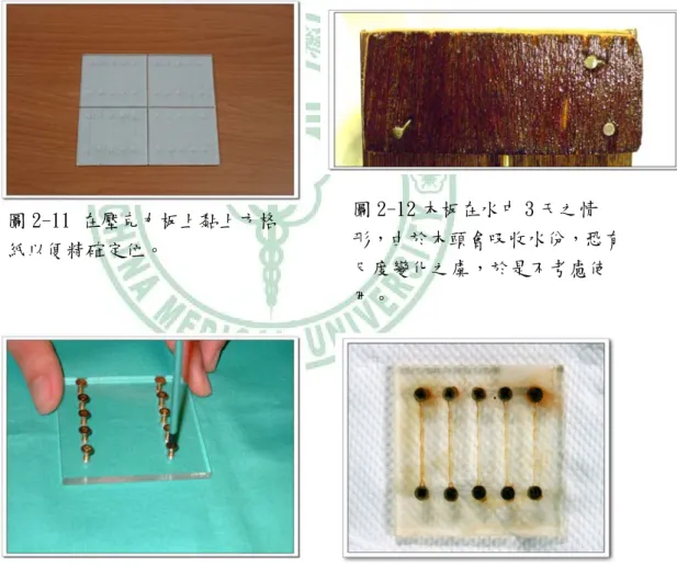 圖 2-12 木板在水中 3 天之情 形，由於木頭會吸收水份，恐有 尺度變化之虞，於是不考慮使 用。  圖 2-13 使用螺絲起子將自攻型 木螺絲鎖入。  圖 2-14 木螺絲在水中二天後嚴 重生銹的情形。 圖 2-11 在壓克力板上黏上方格紙以便精確定位。  經過pilot study測試時，發現此一試片在水中一天即有些許生銹現象，經過二天在恆溫水槽中，生銹現象變得非常嚴重 (圖2-14)，恐有影響實驗結果之虞，於是放棄此一試片之製作。 最後所採用之壓克力板配合使用快乾劑 (氰基丙烯酸酯)將小壓克力顆粒黏