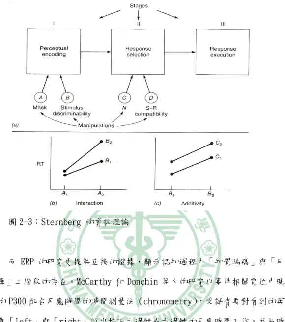 圖 2-3：Sternberg 的資訊理論  而 ERP 的研究更提供直接的證據，顯示認知過程中「知覺編碼」與「反應 選擇」二階段的存在。McCarthy 和 Donchin 等人的研究以事件相關電位中晚成 分的 P300 配合反應時間的時間測量法（chronometry） ，受試者要對看到的英文 字彙「left」與「right」做出按下左邊鍵或右邊鍵的反應時間工作，並同時紀 錄腦波。實驗中藉由改變刺激呈現的清晰度操控刺激辨評估的困難度；利用改變 「 匹配」與「 不匹配」的反應要求來操控反應選擇的困難度。結