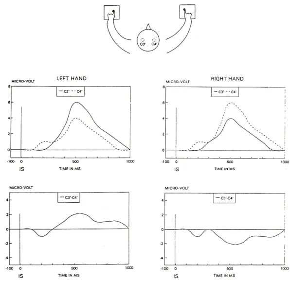 圖 2-4：不同手反應時的準備電位對 ERP 的作用 