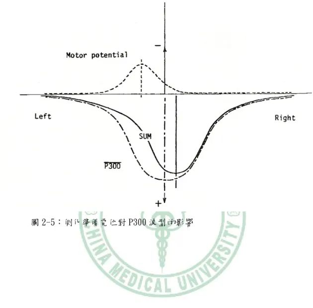 圖 2-5：側化準備電位對 P300 波型的影響 