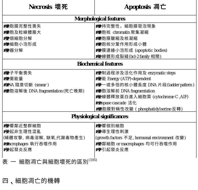 表  一  細胞凋亡與細胞壞死的區別 (105) 四、細胞凋亡的機轉  目前已知有兩個機轉可以調控細胞凋亡現象，第一個作用機轉是經由 caspase（  caspase-dependent ）機轉活化而引起細胞凋亡 (106) 。第二個作用機轉 是經由 caspase-independent  機轉。  (一) caspase dependent  機轉：  又包含兩種途徑 
