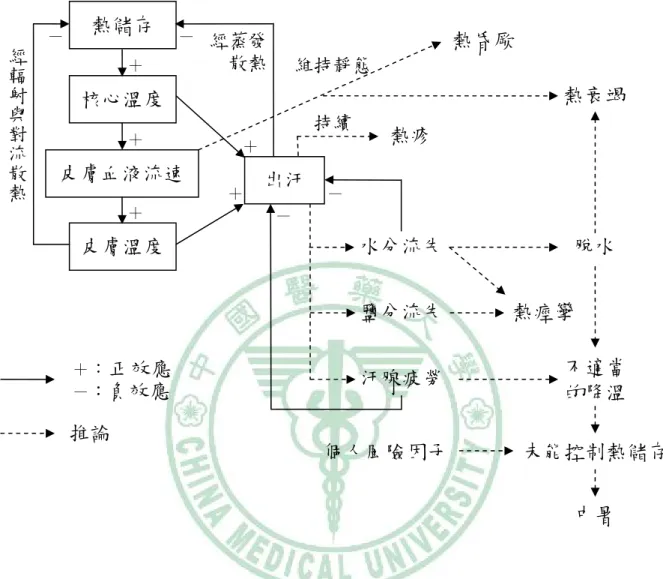 圖 1-2  暴露於熱環境時人體生理效應與可能產生之熱危害 (15)熱儲存 核心溫度 皮膚血液流速 皮膚溫度 出汗 經輻射與對流散熱經蒸發散熱熱昏厥  熱衰竭 熱疹 水分流失鹽分流失汗腺疲勞熱痙攣 脫水 不適當 的降溫 持續 維持靜態 個人風險因子＋＋＋＋ ＋－ － －－＋：   正效應－：負效應推論 中暑  未能控制熱儲存