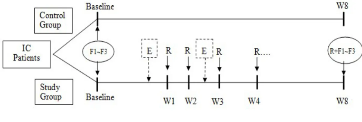 Fig. 1 Experimental procedure.