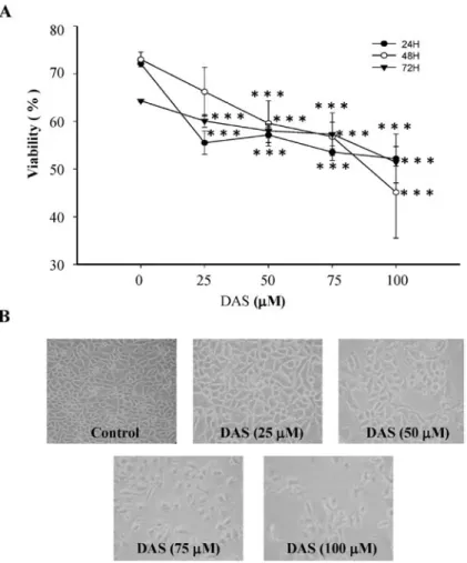 Figure 1. DAS effects on cell viability and morphology in HeLa cells. Cells were cultured with various concentrations of DAS for 24, 48 and 72 h and were  examined for viability (A) and morphological changes (B)