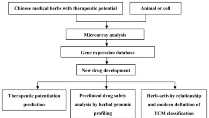 Fig. 3 e Paradigm for the application of whole genome expression profiling as a tool for therapeutic prediction, drug development, and safety evaluation of Chinese herbal medicines.651652653654655656657658659660661662663664665666667668 669 670 671 672 673 
