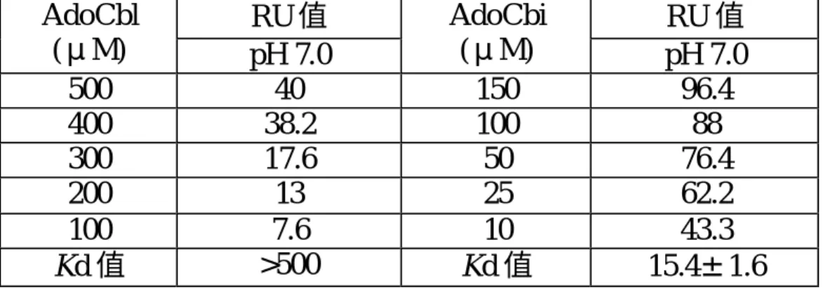 表 4-1  MutS 與 AdoCbl、AdoCbi 結合反應之測試結果  RU 值  RU 值 AdoCbl  (μM)  pH 7.0  AdoCbi (μM)  pH 7.0  500  40  150  96.4  400  38.2  100  88  300  17.6  50  76.4  200  13  25  62.2  100  7.6  10  43.3  Kd 值  &gt;500  Kd 值  15.4±1.6      表 4-2  MutS、MutS 變異蛋白與 AdoCb