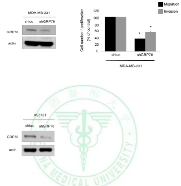 Figure  3.  Knockdown  of  GRP78  expression  significantly  reduces  migration  and  invasion ability