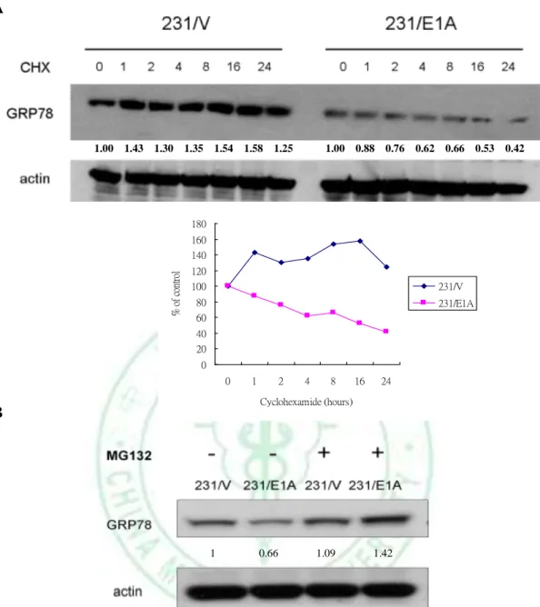 Figure 5. E1A enhances proteolysis of GRP78 and its effect was rescued by MG132. 