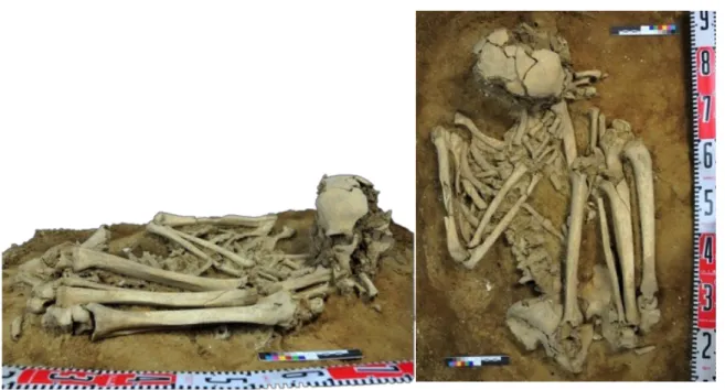 Figure 1. The Liangdao Man Skeleton 亮島人1號(M01)