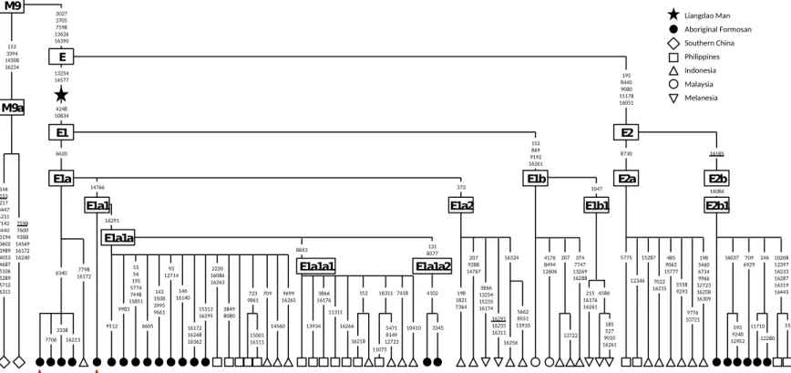 Figure 32. Haplogroup E among Austronesian speakers related to the Liangdao Man 7706 1476616223779816172 162919512 9983 7092220160861626355561955774749815851146161401617216248 16362 1531316295 38498080 9699 162659312714 131 8577145606605 334514315083995966