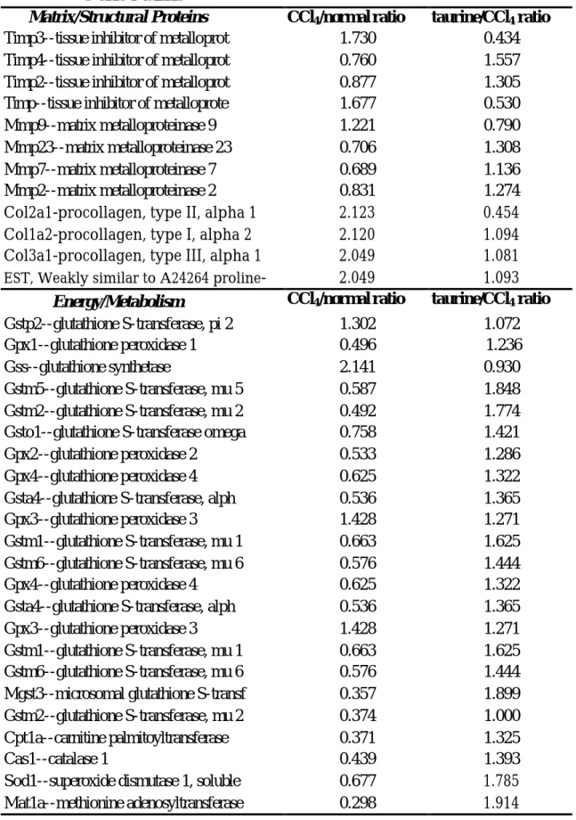 Table 3.List of liver genes expression in normal/CCl 4  ratio  Gene Name 