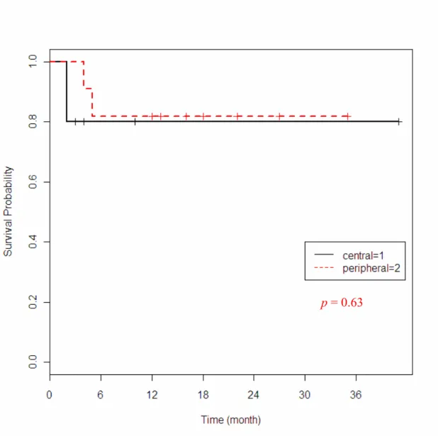 Figure 4. Progression free survival curves of patients with (1) centrally and (2) peripherally   located lung tumors treated with CK (n = 19) 