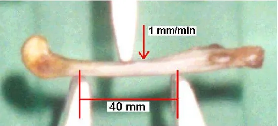 Figure 1. Schematic plot of the three-point bending test  