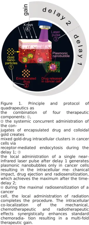Figure  1.  Principle  and  protocol  of quadrapeutics as