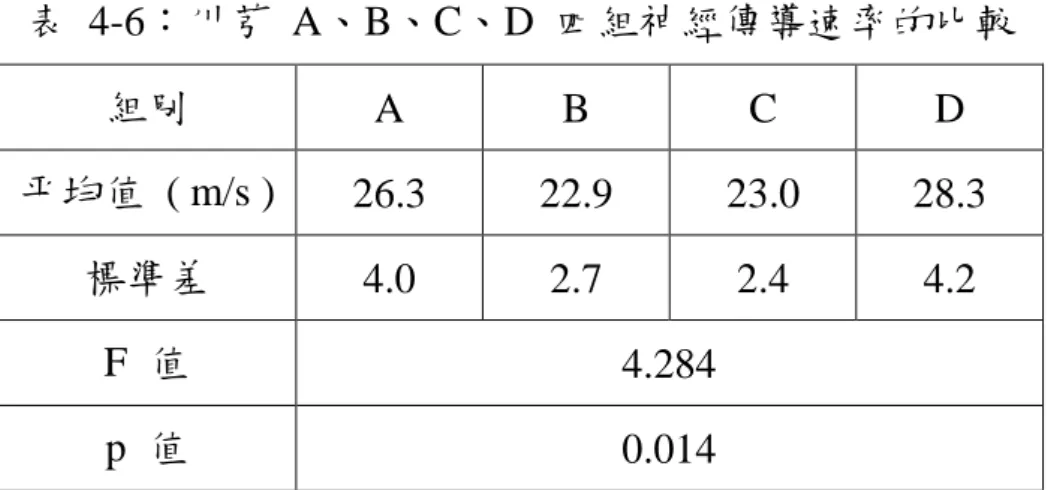 表 4-6：川芎 A、B、C、D 四組神經傳導速率的比較 組別 A B C D 平均值 ( m/s ) 26.3 22.9 23.0 28.3 標準差 4.0 2.7 2.4 4.2 F 值 4.284 p 值 0.014 圖 4-8：川芎 A、B、C、D 四組神經傳導速率的比較 第三節 組織切片觀察與分析 4-3-1 術側腓腸肌切片觀察 將地龍組中的實驗動物取其術側腓腸肌中段，固定、脫水、包埋、 切片、染色後，放置於顯微鏡下觀察。正常之腓腸肌切片可見肌纖 維呈現對稱多角形的緊密排列，細胞核則位於肌細胞的周