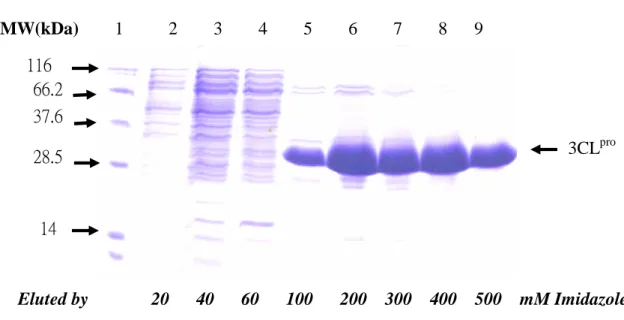 Fig. 2. (A) MW(kDa) 1 2 3 4 5 6 7 8 9 Eluted by 20 40 60 100 200 300 400 500 mM Imidazole3CLpro11666.237.628.514