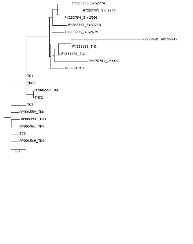 Fig. 4. Molecular relationships between 20 SARS-CoV genomes which linked to  infection acquired at the Hotel M in Hong Kong are shown