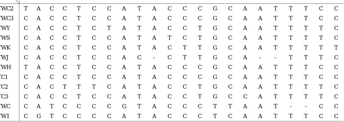 Table 4. The sequence variants of SARS-CoV in Taiwan area.  1782 3165 3852 8160 11493 13098 13347 16325 19361 20083 21581 25652 26203 26477 26600 26615 27167 27168 27808 27809 27812 28302  TWC2 T A C C T C C A T A C C C G C A A T T T C C  TWC3 C A C C T C 