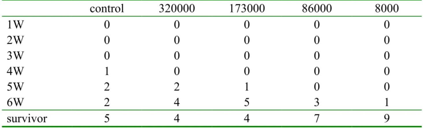 Table 4. Tumor size score after 6-week treatment of SCID mice with different  molecular weight of Chitosan