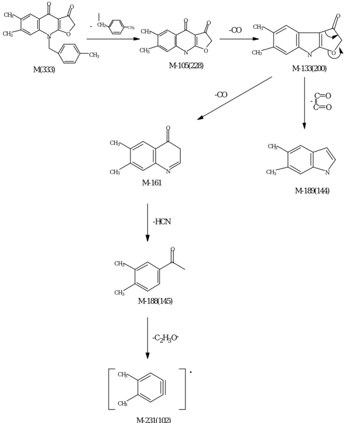 Fig 2  化合物 12 之分子離子峰等裂解之相對離子 峰 NOCH3CH3OOCH3NOCH3CH3OON O OCH3CH3M(333)M-105(228)-COM-133(200)NCH3CH3OCCO-CO-M-189(144)NCH3CH3OCH3CH3OCH3CH3M-161-HCNM-188(145)-C2H3O..M-231(102)CH2CH3