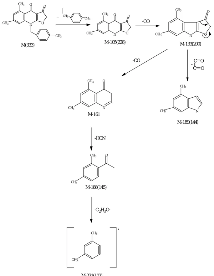 Fig 3  化合物 28 之分子離子峰等裂解之相對離子 峰 NOCH3OOCH3CH3CH3NOOOCH3N O OCH3CH3M(333)M-105(228)-COM-133(200)CH3NCH3OCCO--COM-189(144)NCH3OCH3CH3OCH3CH3CH3M-161-HCNM-188(145)-C2H3O.M-231(102).CH2CH3
