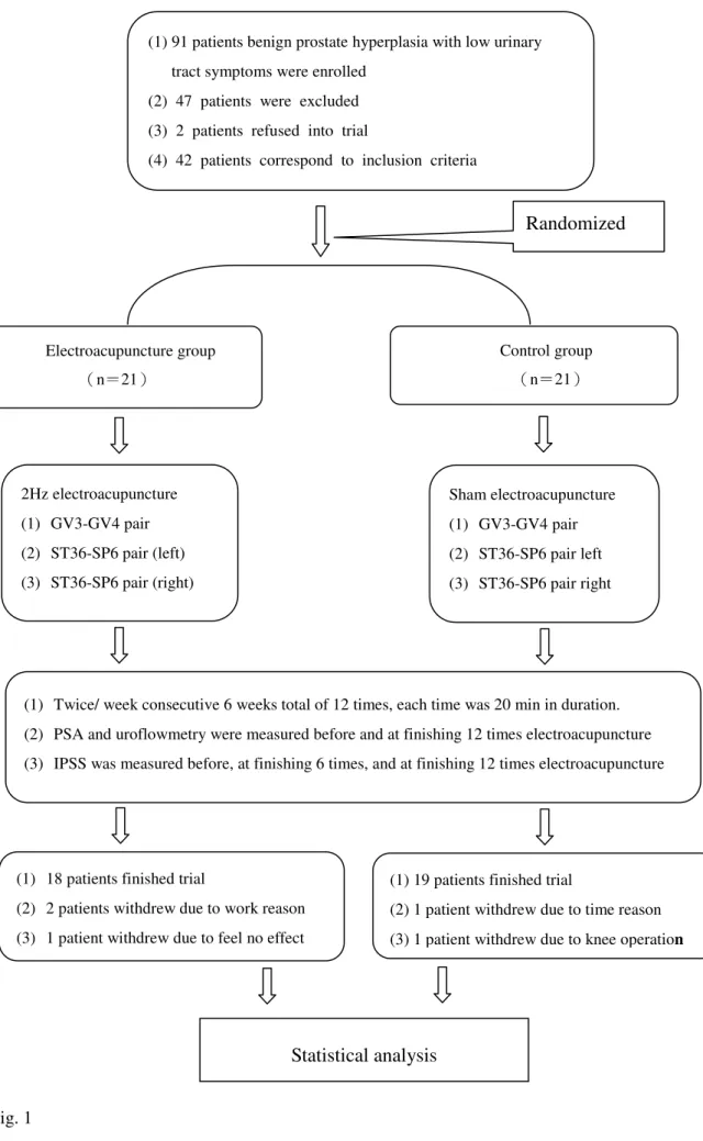 Fig. 1  Randomized Electroacupuncture group （n＝21） Control group （n＝21） 2Hz electroacupuncture (1)  GV3-GV4 pair (2)  ST36-SP6 pair (left) (3)  ST36-SP6 pair (right) 