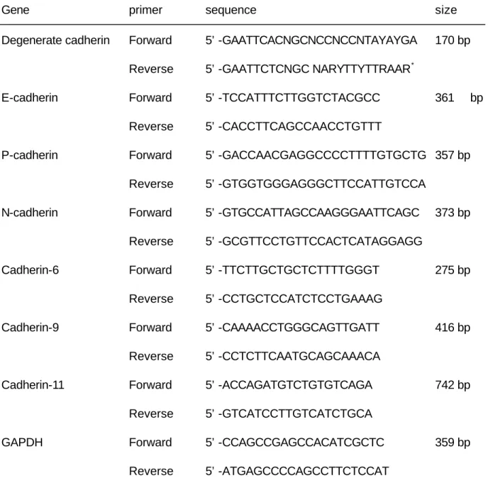 Table 1. Primers used in  degenerate and  semiquantitative RT-PCR  assays 