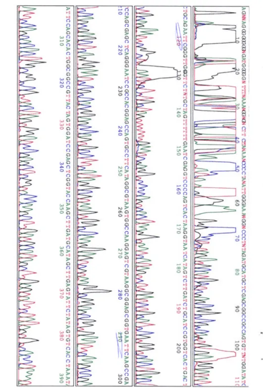 Fig. 11. An example of cadherin-6 sequence 