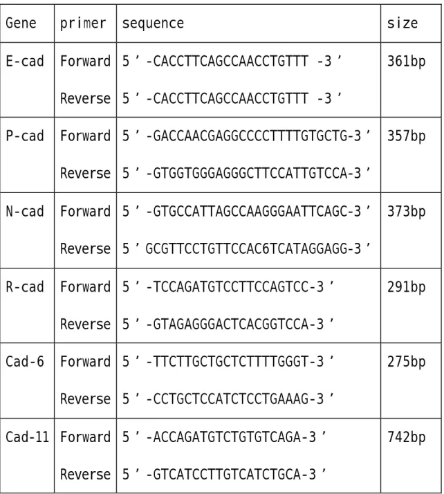 Table 2. Primers for RT-PCR 