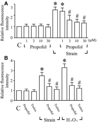 Fig. 3. Inhibitory effects of propofol on strain-increased extra- extra-cellular signal-regulated kinases (ERK) phosphorylation