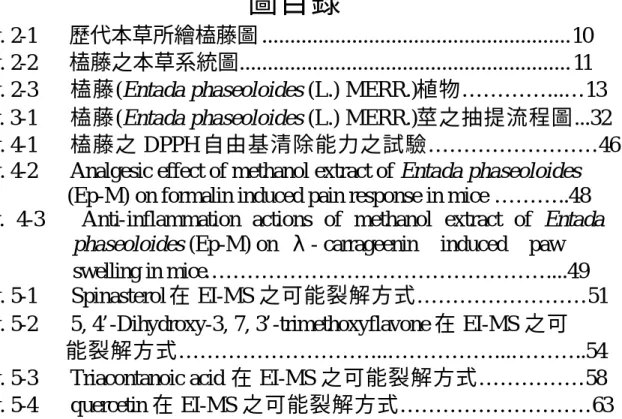 Fig. 2-1   歷代本草所繪榼藤圖 .......................................................10  Fig. 2-2   榼藤之本草系統圖..........................................................