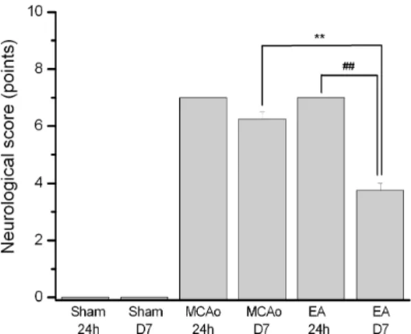 Fig. 1. Relationship of diﬀerent manipulation and neurological scores in subgroups. ∗∗ denotes p < 0.01, by comparing MCAo with EA at D7