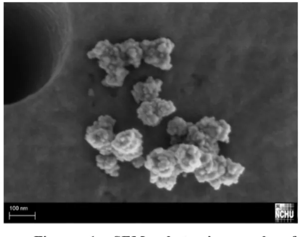 Figure  1.  SEM  photomicrograph  of  compact-aggregates of soot particles in diesel  engine exhaust
