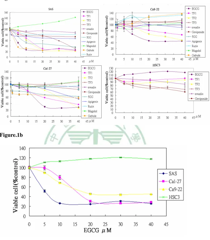 Figure 1. Effect of EGCG on HNSCC cell line.   