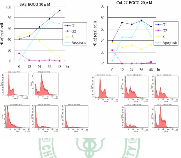 Figure 2. Effect of EGCG on cell cycle progression and apoptosis.   