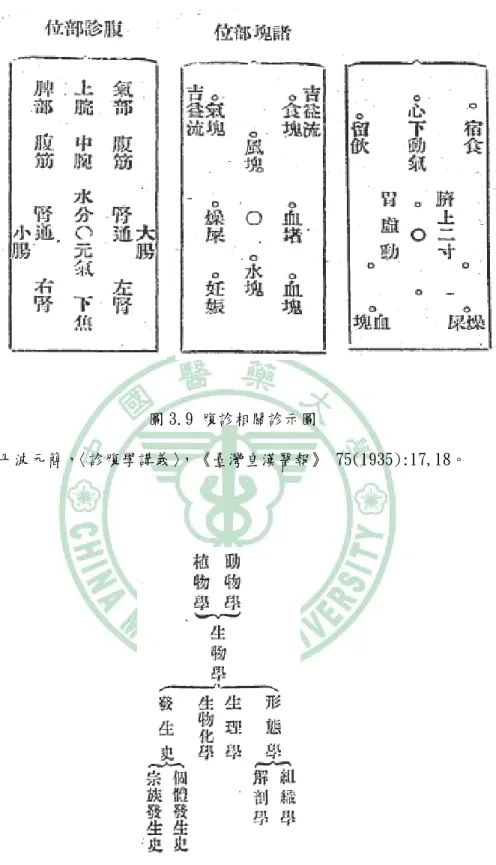 圖 3.9 腹診相關診示圖 