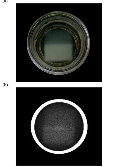 Fig. 6 shows the photograph and the CT image of the gel phantom irradiated with the 6 MV modality at 400 MU/min.