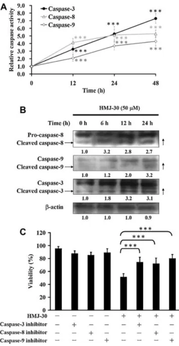 Figure 3. Effects of HMJ-30 on caspase-dependent apoptotic cell death in U-2 OS cells