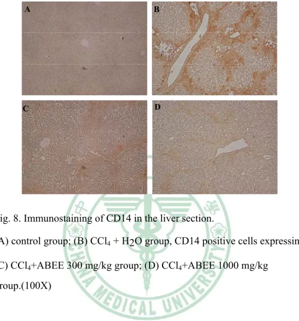 Fig. 8. Immunostaining of CD14 in the liver section.   