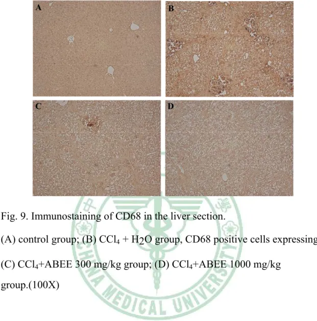 Fig. 9. Immunostaining of CD68 in the liver section.   