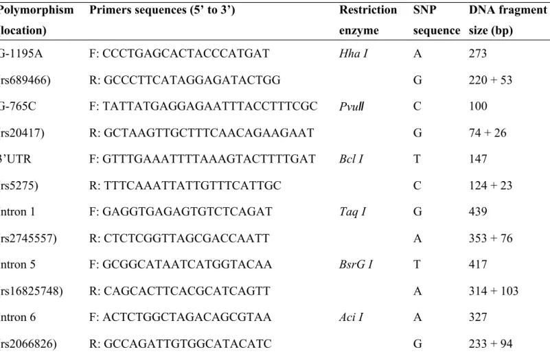 Table I. The primer sequences,  polymerase chain reaction and restriction fragment length polymorphism conditions for cyclooxygenase 2 (COX-2) gene polymorphisms.