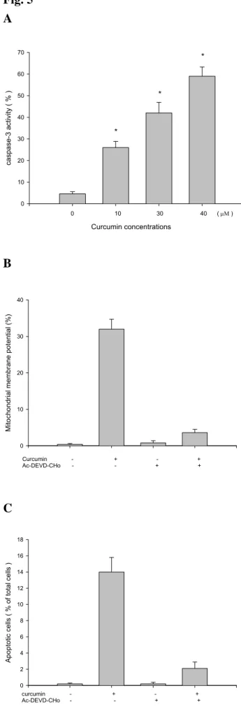 Fig. 5  A  Curcumin concentrationscaspase-3 activity ( % )010203040506070 0                        10                     30                      40      ( µΜ )*** B 
