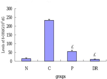 Fig. 2 Levels of 8-OHdG in liver from rabbits fed various diets for 12 weeks.  All  value is means ± S.D