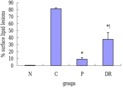 Fig. 3. Lipid lesions in the aorta from rabbits fed with experimental diet.  Results  are expressed as mean ± S.D