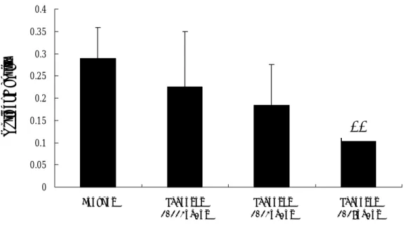 Fig 3. Stimulatory effects of Magnolol on caspase-3 protein expression level on  rat smooth muscle cells