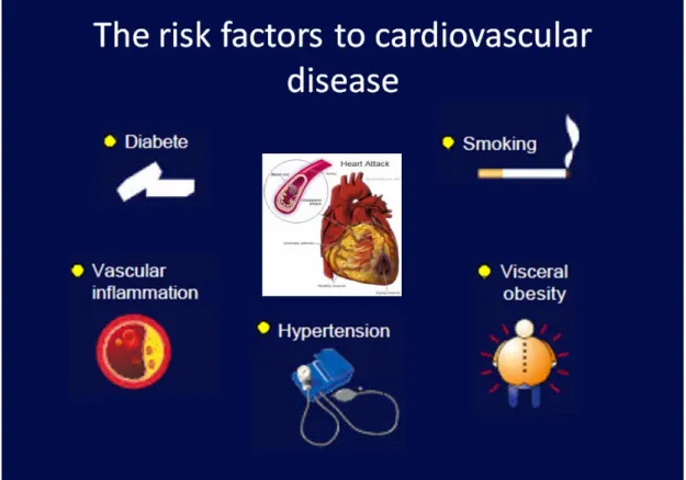 圖 1-2、造成心血管疾病的危險因子(Clark LT, 2002)。 